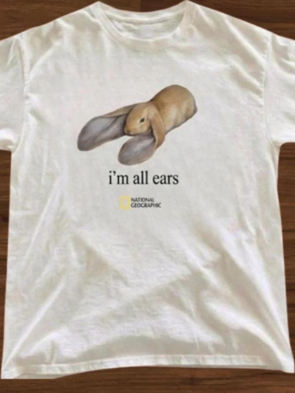 Lop Ear Rabbit Graphic T-Shirt National Geographic Style Short Sleeve Tee